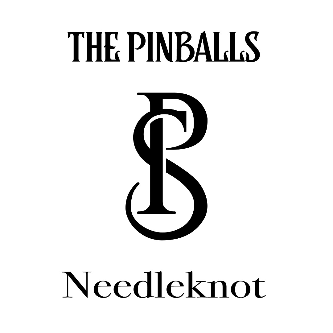 『池袋ウエストゲートパーク』OP主題歌、THE PINBALLS「ニードルノット」
