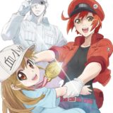 アニメ2期『はたらく細胞!!』ブルーレイ＆DVD・サントラが豪華特典付で発売決定！