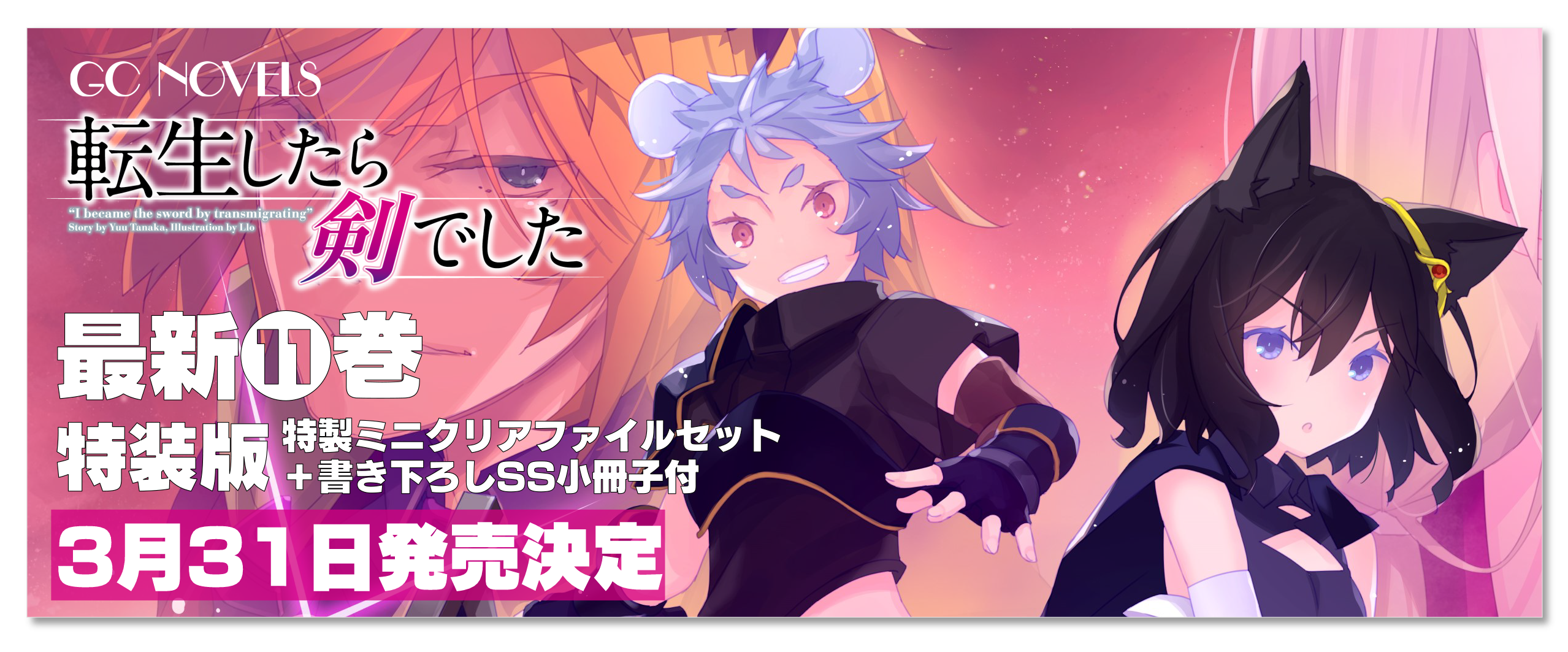 小説 転生したら剣でした 11巻