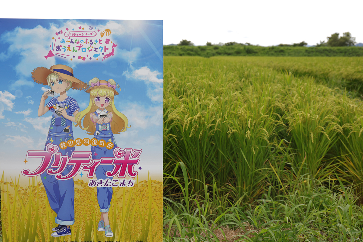 夢川ゆい　あきたこまち プリティー米（まい）