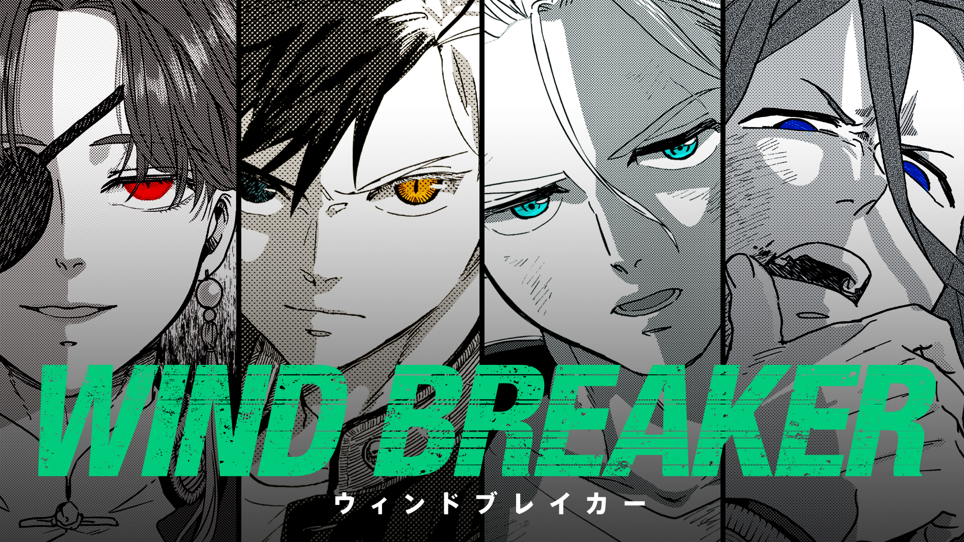 WIND BREAKER