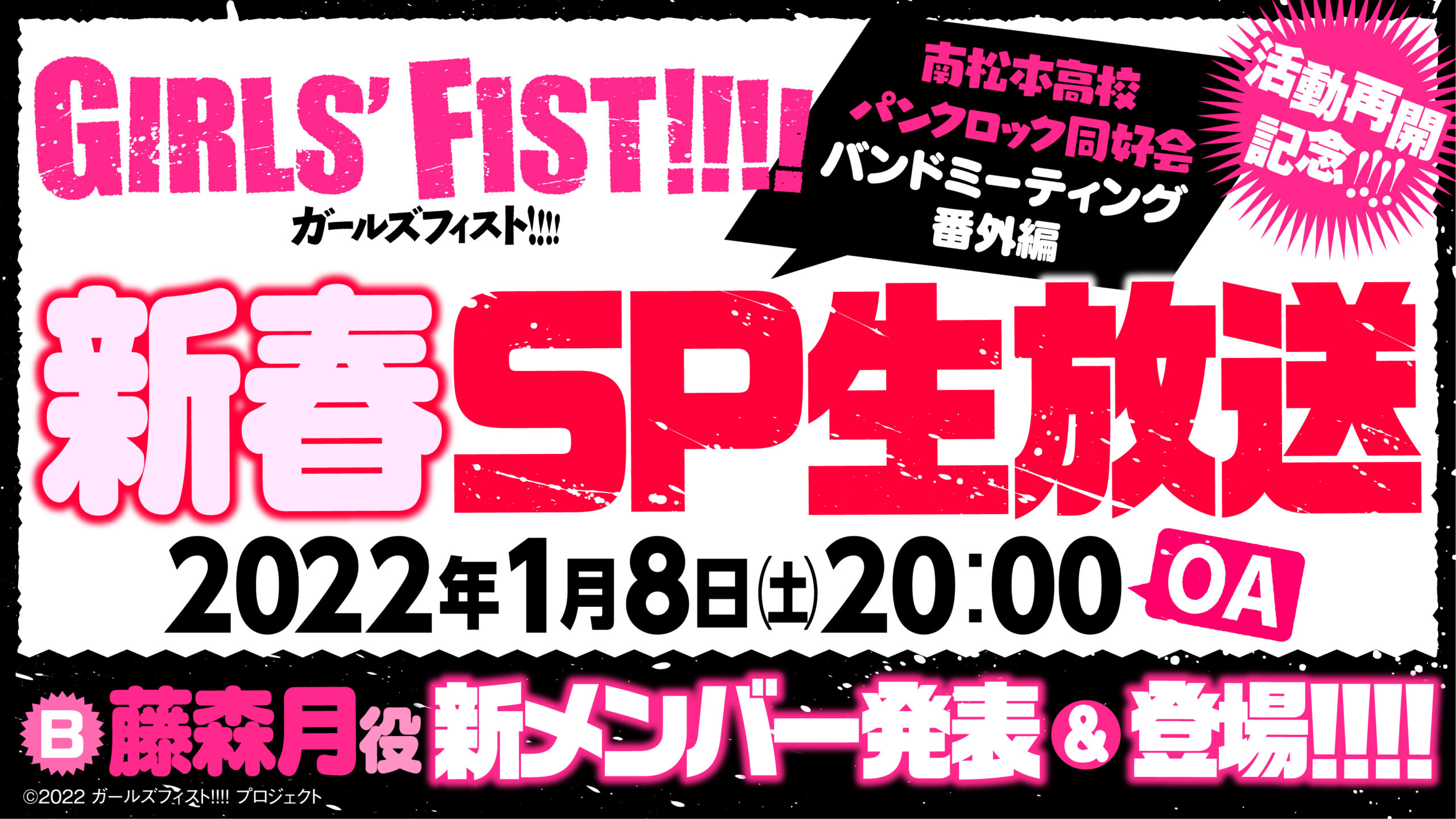 ガールズフィスト!!!!