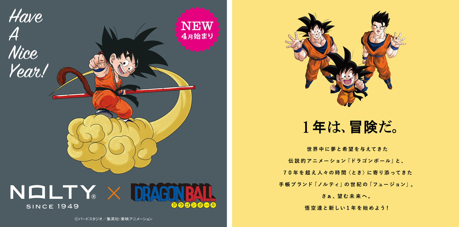 ドラゴンボール NOLTY