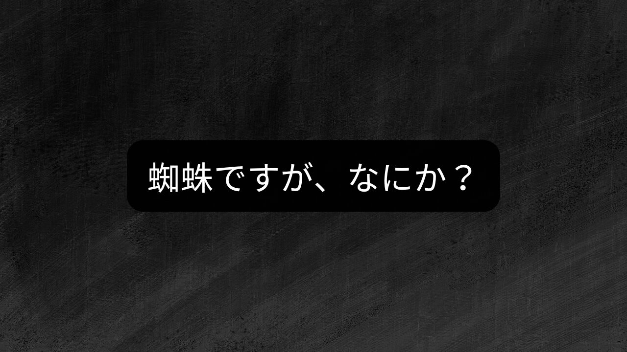 蜘蛛ですが、なにか？