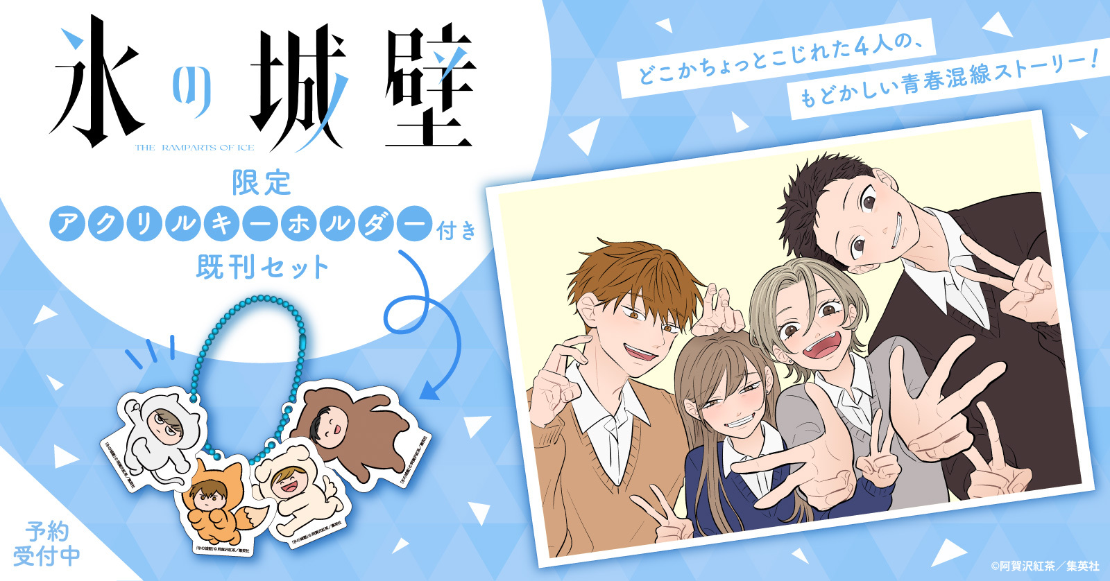 『氷の城壁』漫画全巻セット