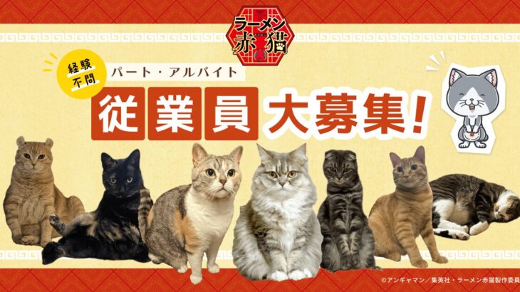 『ラーメン赤猫』エイプリールフール企画！従業員の猫を募集！