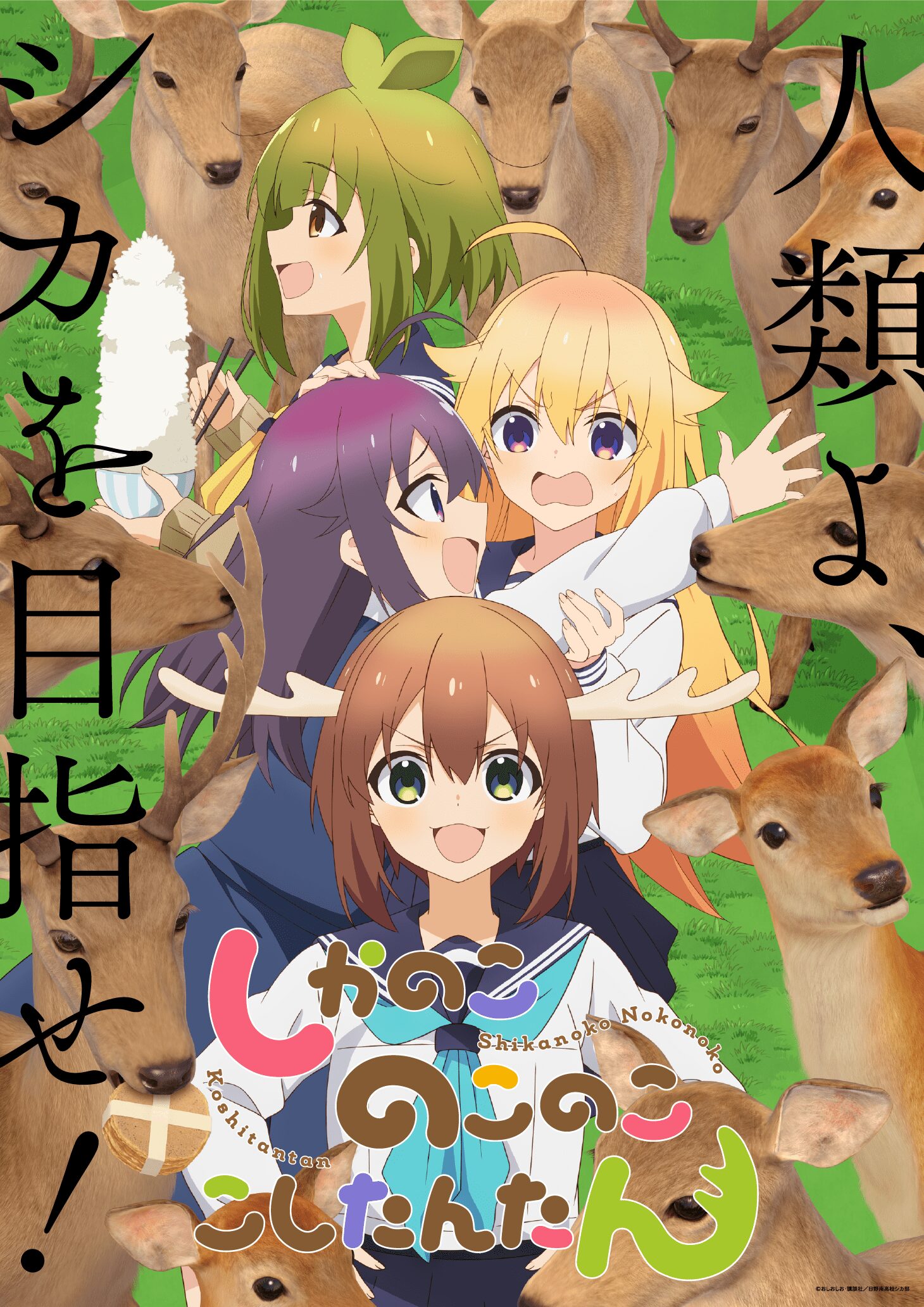 『しかのこのこのここしたんたん』アニメ化