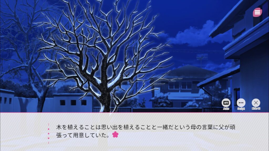 『桜色の夢を見て、僕は君に恋をする』